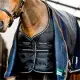 Horseware Easy-Layer Plus stalldeken 400 gram